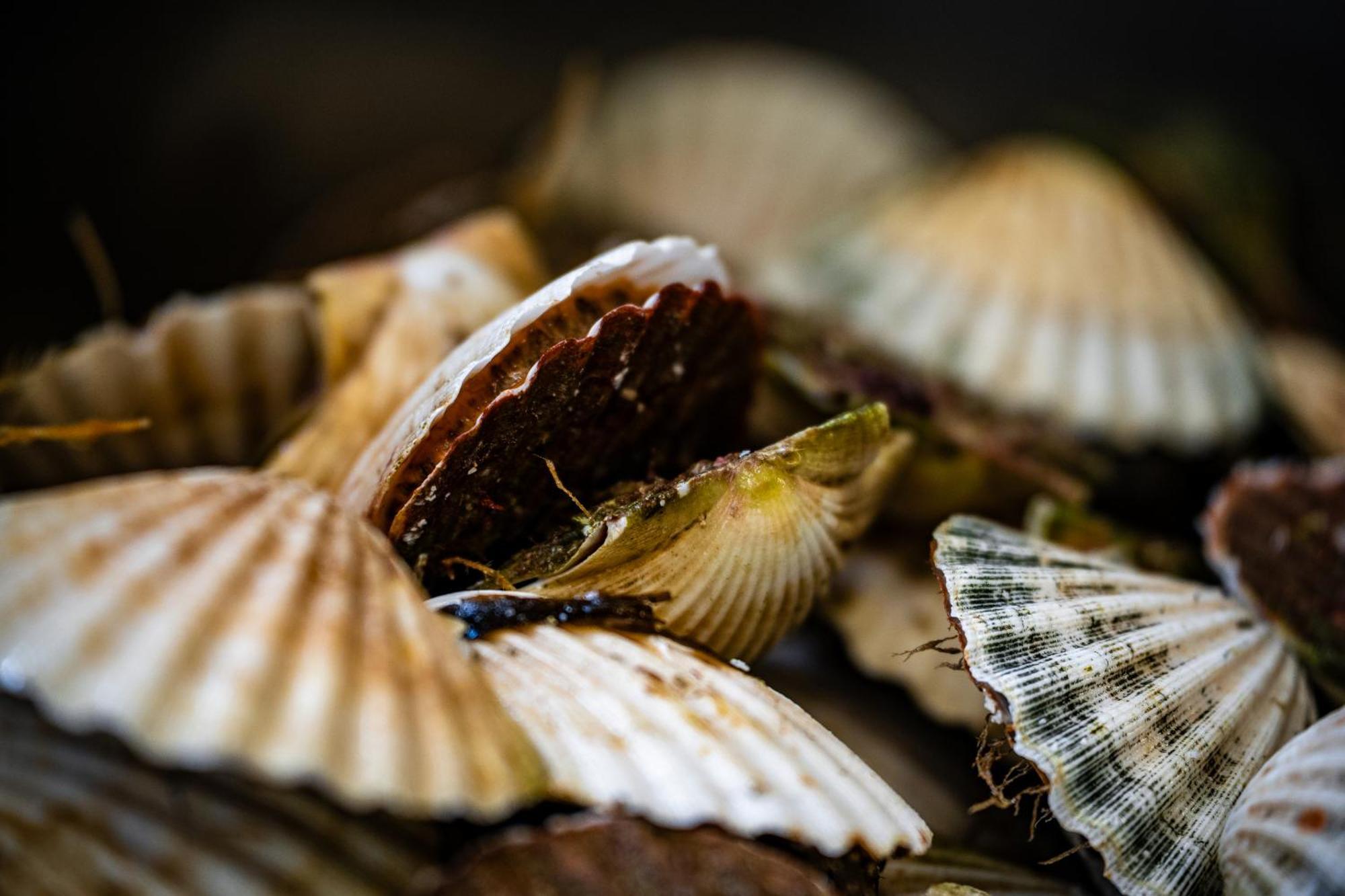 Murray Arms Hotel And Seafood Restaurant, Orkney Saint Margarets Hope Esterno foto